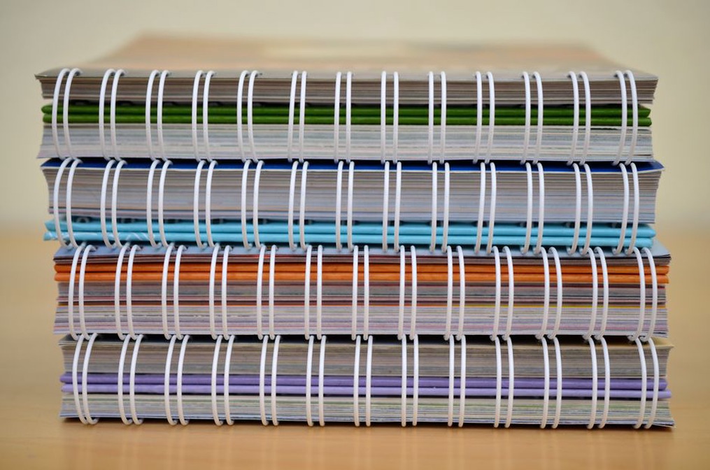 Bound proceedings of a pattern recognition conference from 2004