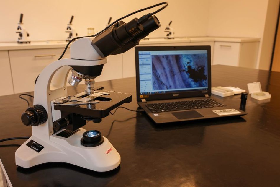 Tissue patterns displayed beside a pathologist's microscope