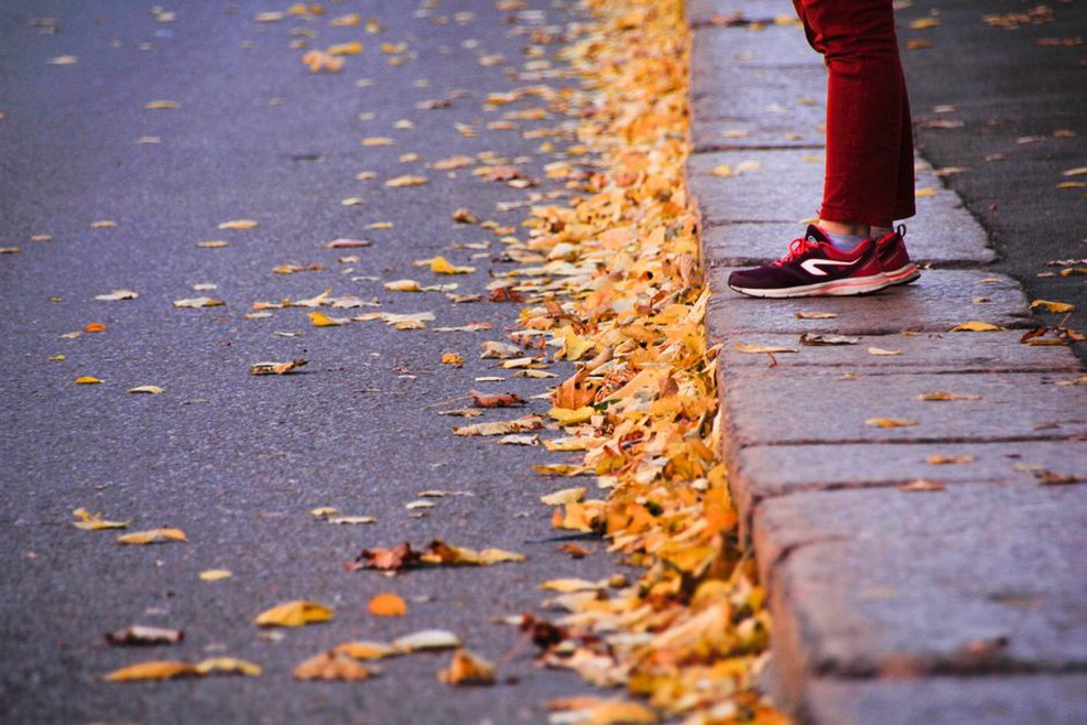 Autumn leaves gathered beside a roof drain
