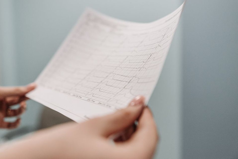 Dark frequency bands mark changes across a spoken syllable